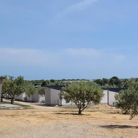 Tatil Evi Adriaticoast Apartments- Dalmatian Dream *