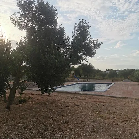 Dom wakacyjny Adriaticoast Apartments- Dalmatian Dream *